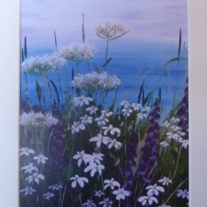 Cornish Coast Flowers